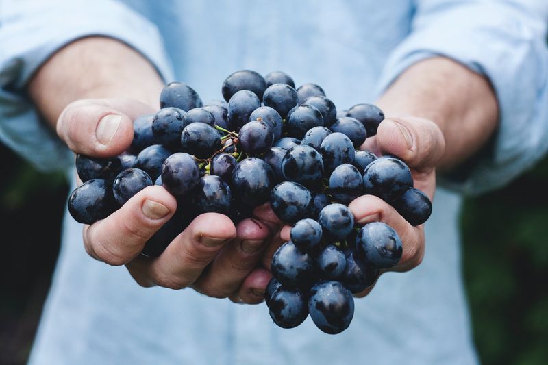 Desaparece el sulfato de cobre del listado de productos autorizados en producción ecológica